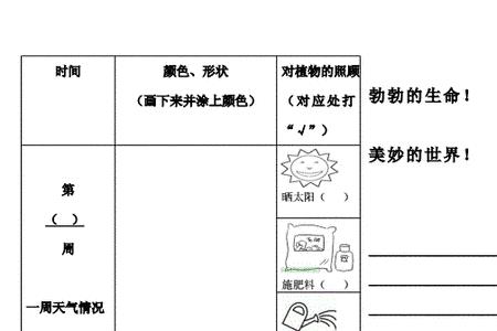 一年级试卷植物分类怎么分