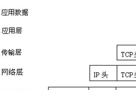 ctlte与ctnet哪个更稳定