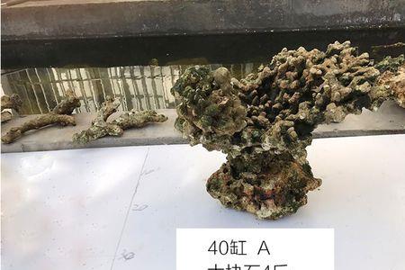 活石放淡水缸可以吗