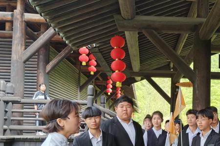 幼儿保育和旅游服务与管理谁好