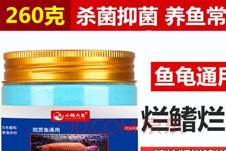 庭院鱼池黄粉使用方法