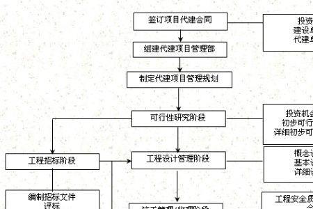 代建项目决策的原则包括哪些