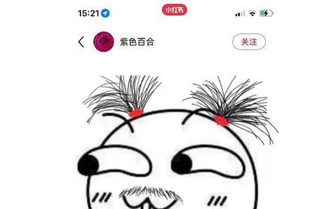 发酵网络什么意思