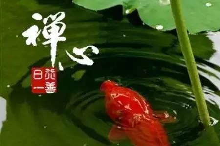 流浪人出门遇贵人什么意思