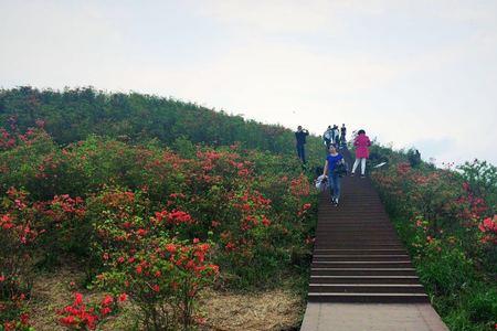 怎么去瑞安圣井山