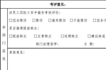 试用期对部门的建议