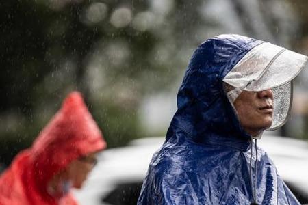 携风带雨近义词