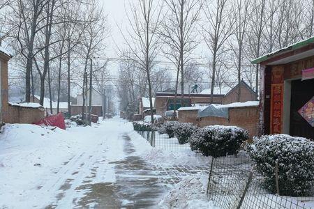 只顾门前雪不顾瓦上霜什么意思