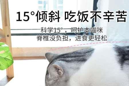 猫妈妈为啥要吃掉猫盘