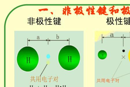 so3为什么是非极性分子