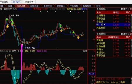 财务BOP指标是什么意思