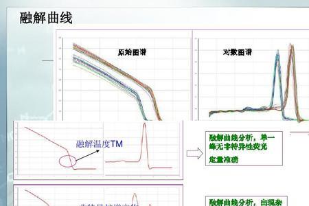 pcr延伸温度如何计算