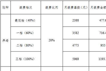 揭阳社保一个月多少钱