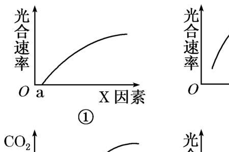 能量的辐射率是不是光照强度