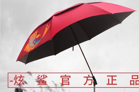 雷臣和炫鲨哪个钓伞好