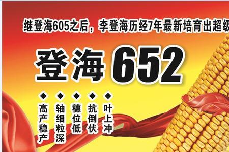 莱科868玉米种属于登海系列吗