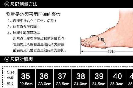 国际码10是多大