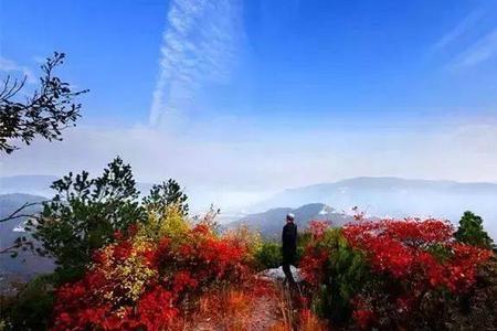 晋城浮山多高