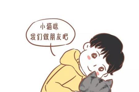 为什么女孩不喜欢养猫的男孩