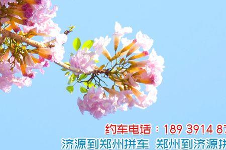 郑州东到济源市多少公里