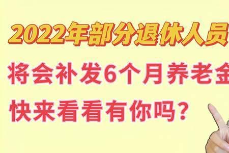 上海2022退休养老金补发时间