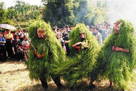 芒蒿是什么植物