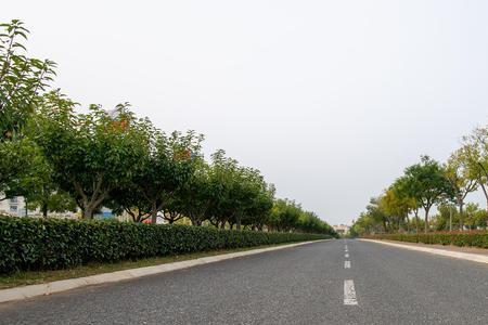 没有划分道路中心线的城市道路