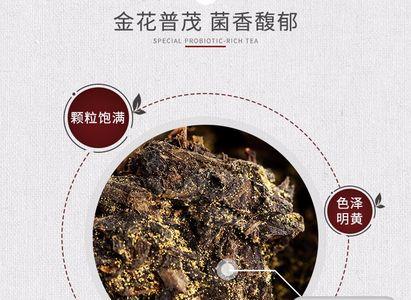 泾阳茯茶哪个品牌好