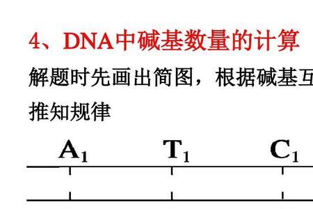 dna的互补链的互补是什么意思