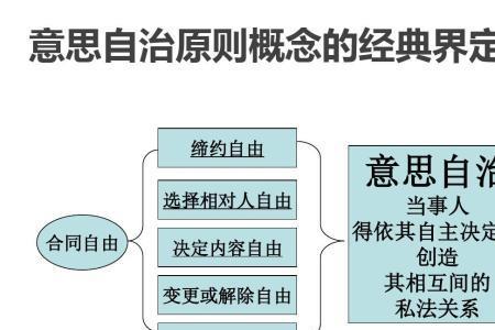 独立主体原则是什么意思