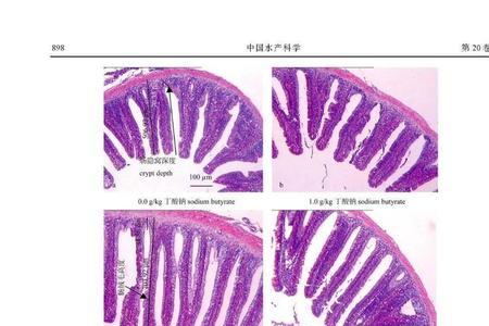 丁酸钠诱鱼效果