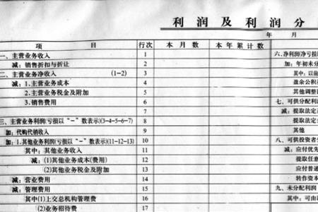 收入减去支出利润率怎么算