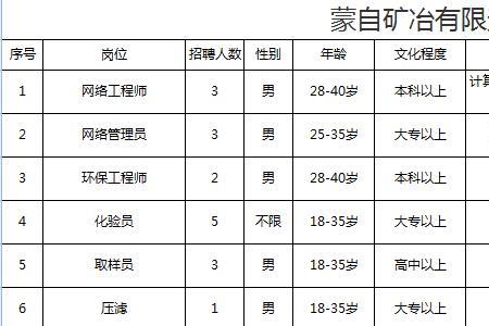 蒙自矿冶有限公司属于什么企业