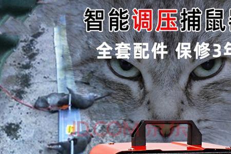 电猫捕鼠器野外怎么布线