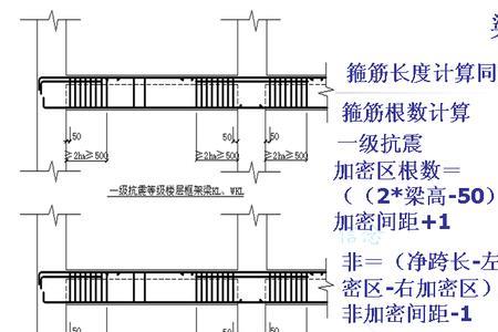 暗柱箍筋加密区范围