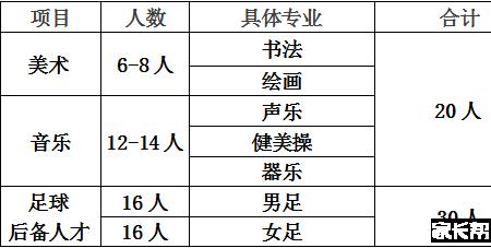 小学教育专业特长怎么写