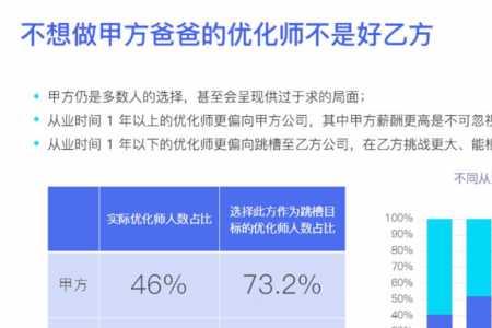 信息优化师是做什么的