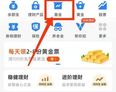 支付宝基金加自选是什么意思