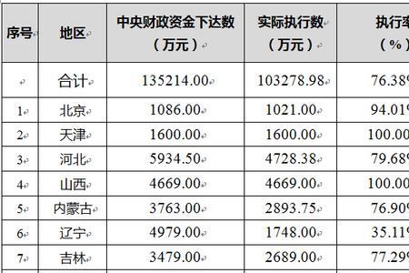 项目资金执行率怎么算