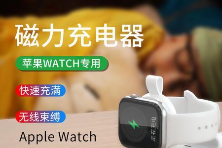 apple watch se是否配充电器