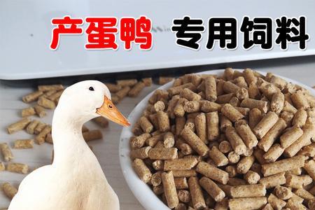 红虫颗粒鸭饲料哪个好