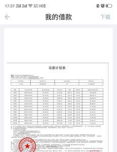 民生金租上征信是显示什么