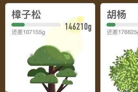 支付宝种树最多的用户