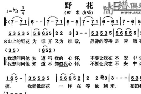 野花的近义词一个字