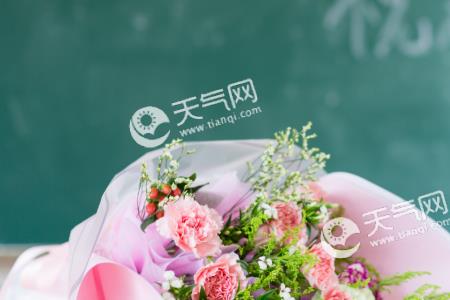 教师节送辅导员什么花