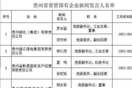 国企项管是什么职位