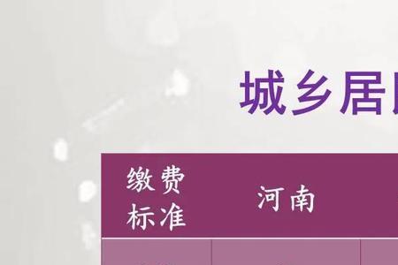 新农保金额是什么