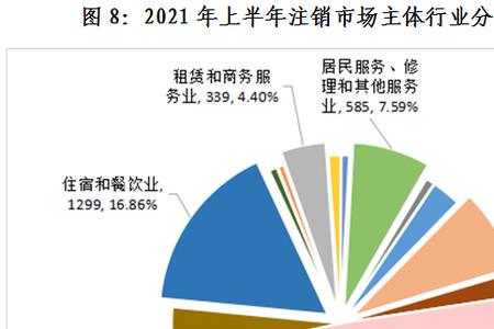 行业主体是什么意思