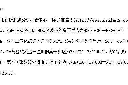 醋酸分解的离子方程式