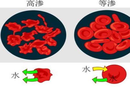 血浆晶体渗透压和胶体区别